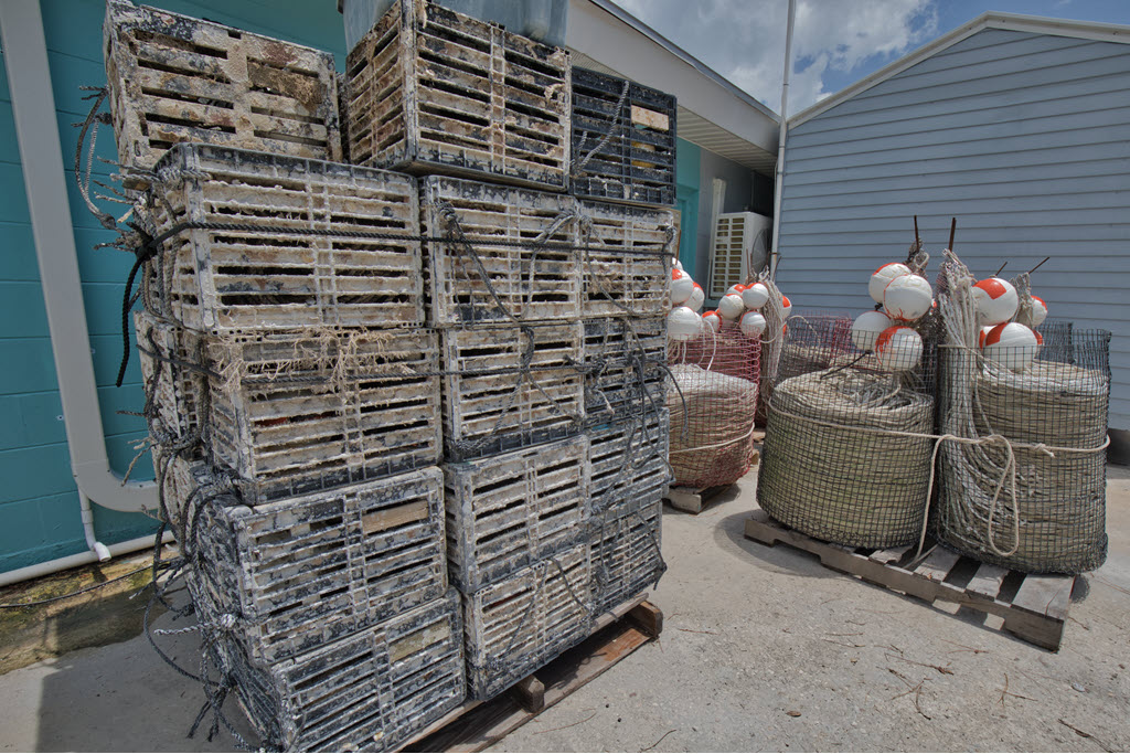 Stone crab crabbing pots