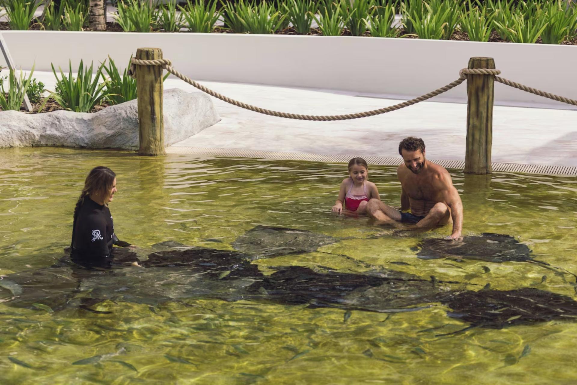 Guests enjoying the saltwater lagoon at St. Regis Longboat Key with tropical fish in a controlled marine environment.