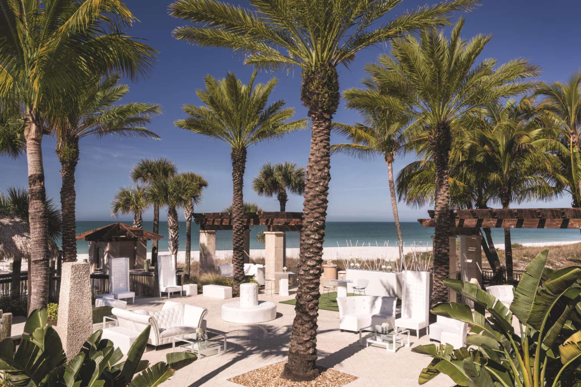 Elegant beachfront event lawn with palm trees and lounge seating at The Ritz-Carlton Sarasota
