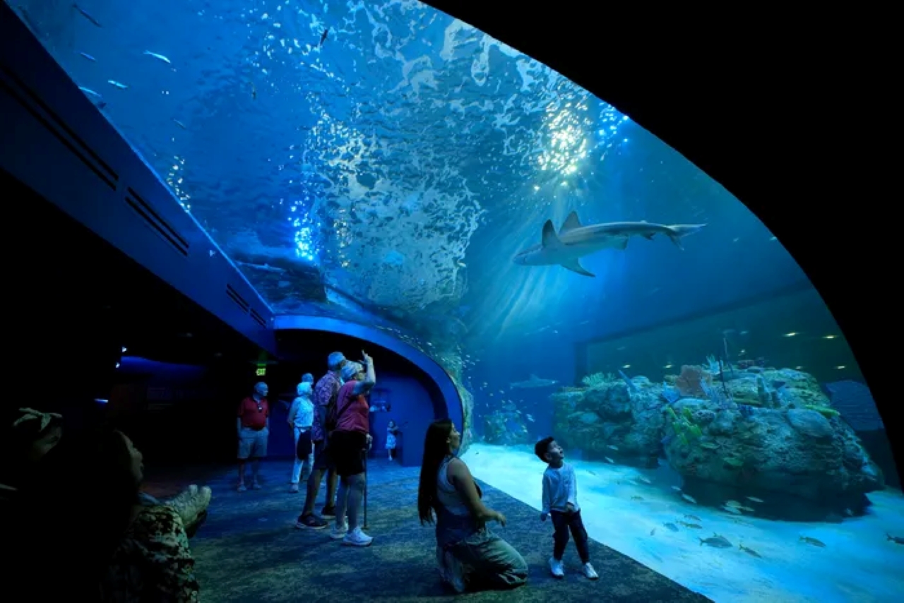 Mote Marine Laboratory