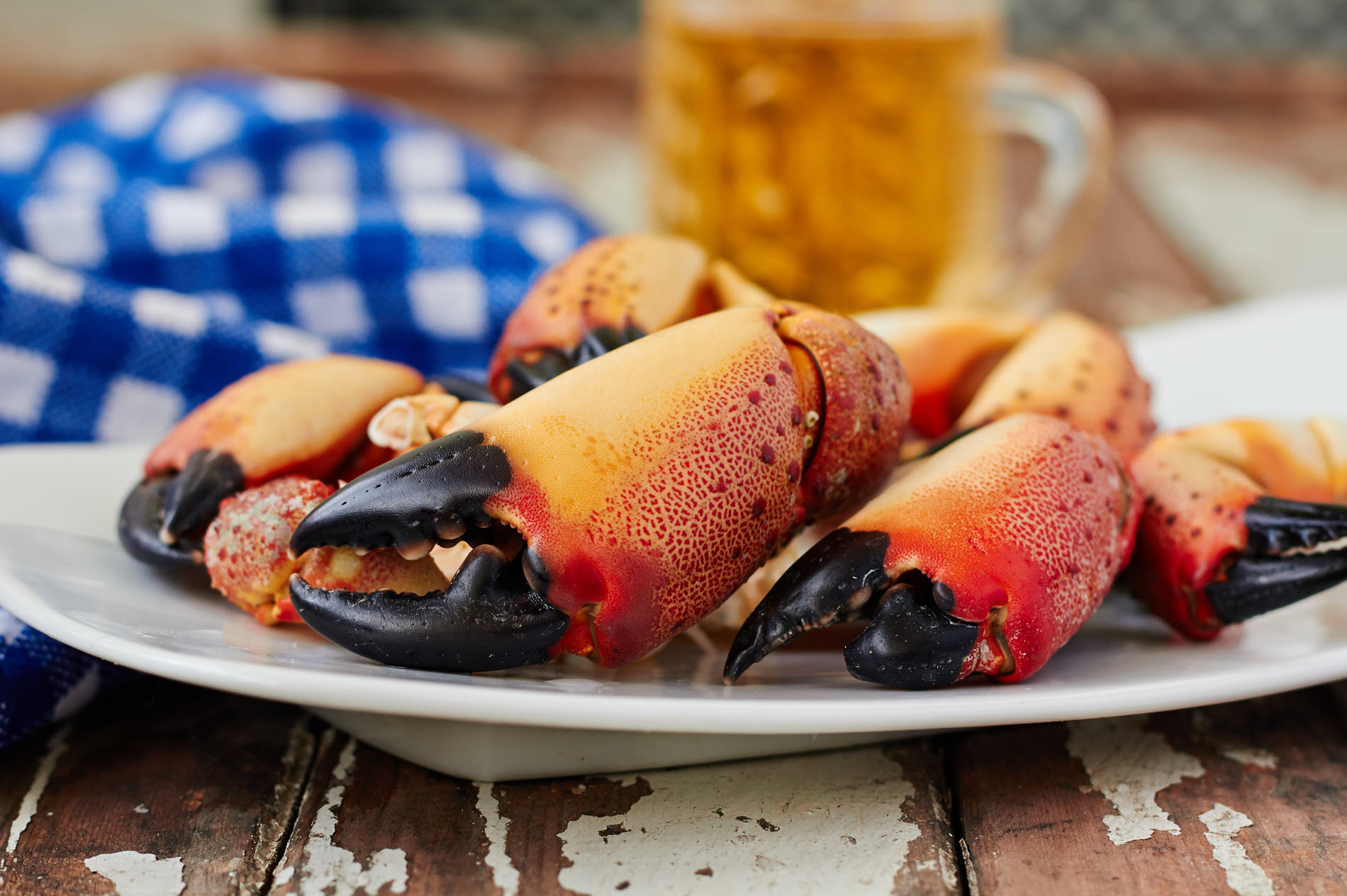 Stone crab claws on a plate with a mug of beer-1900x1264