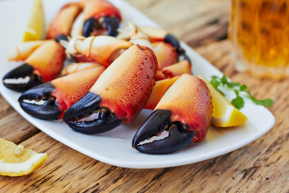 A plate of freshly cooked stone crab claws